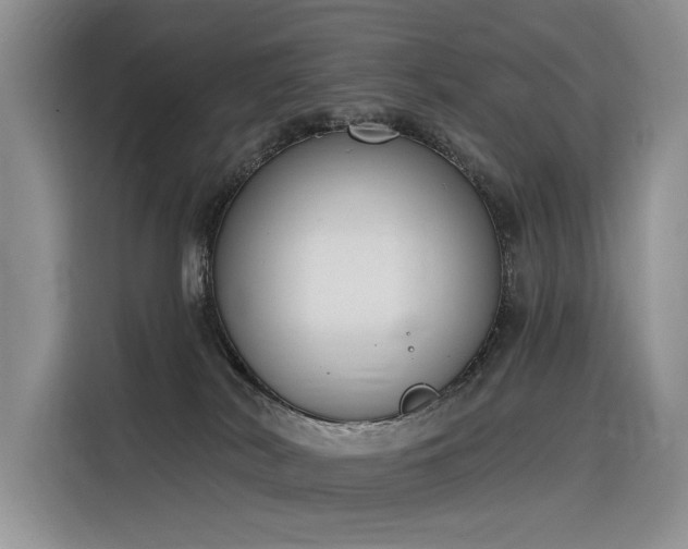 X0000116380038200912021528