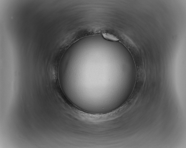 X0000116380039200912021528