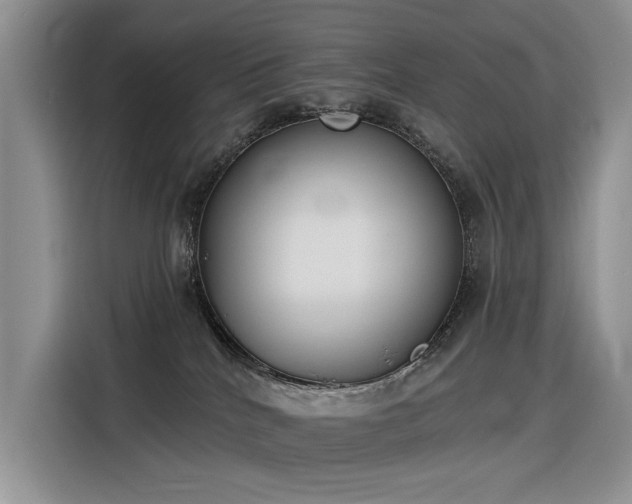 X0000116380040200912021528