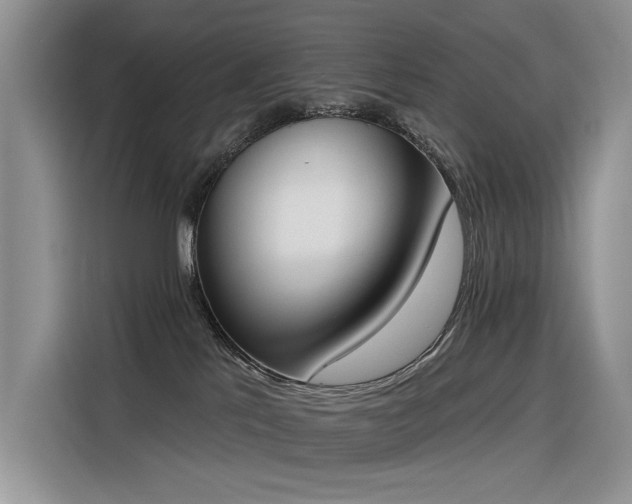 X0000116380041200912021528
