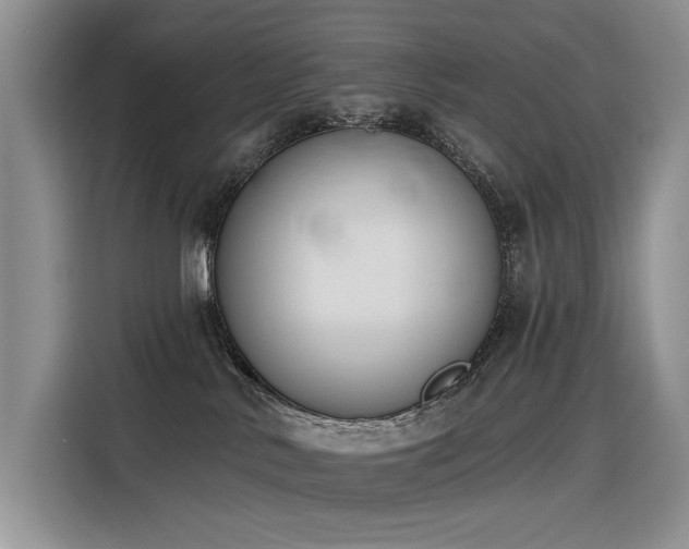 X0000116380042200912021528