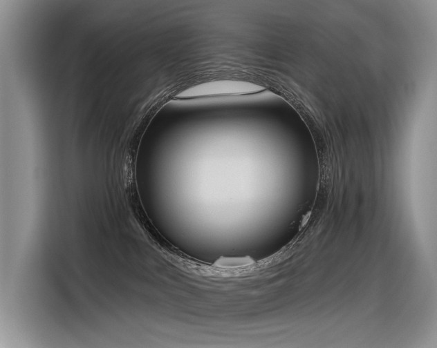 X0000116380043200912021528
