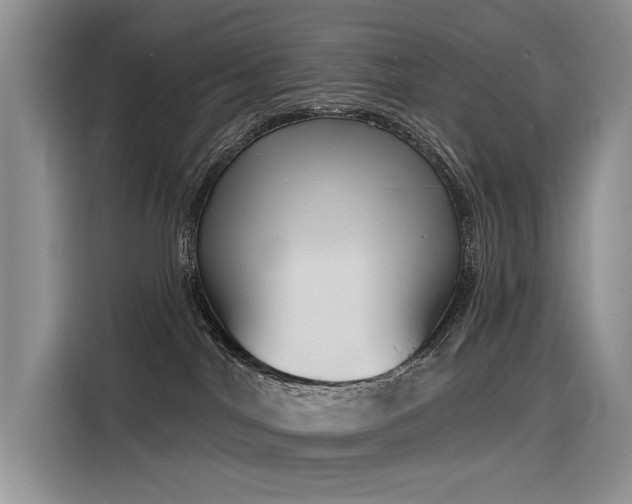 X0000116380044200912021528