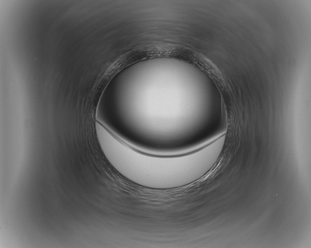 X0000116380045200912021528