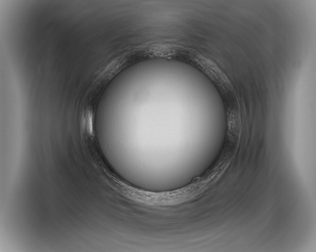 X0000116380046200912021528