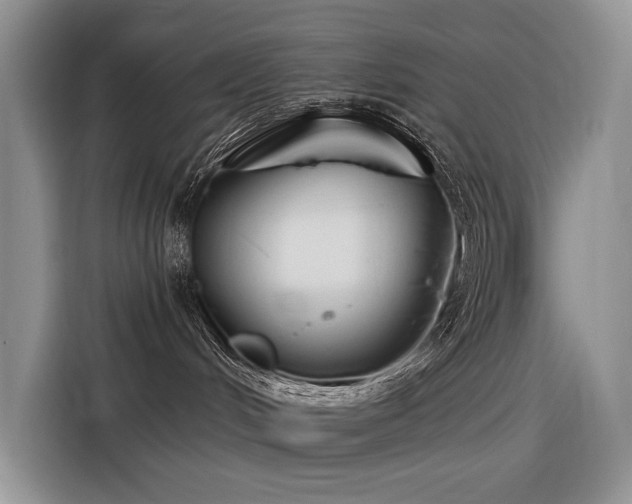 X0000116380048200912021528