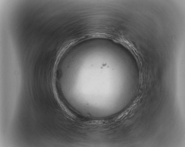 X0000116380049200912021528