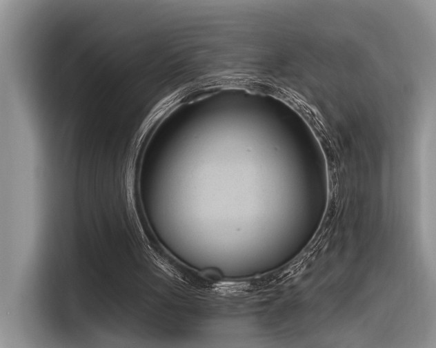 X0000116380051200912021528