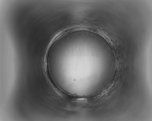 X0000116380053200912021528