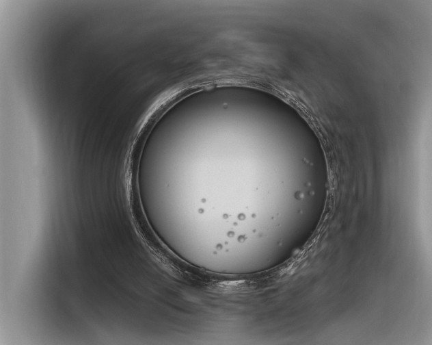 X0000116380054200912021528