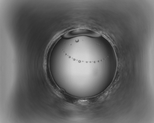 X0000116380055200912021528