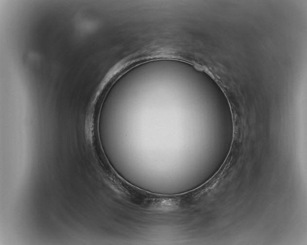 X0000116380056200912021528