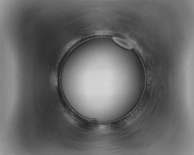 X0000116380060200912021528