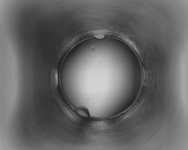 X0000116380061200912021528