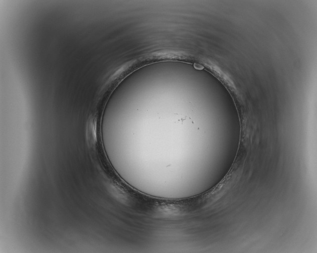 X0000116380062200912021528