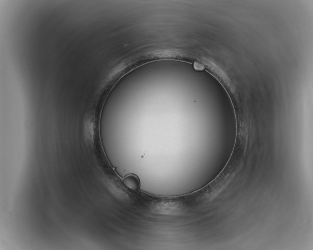 X0000116380063200912021528