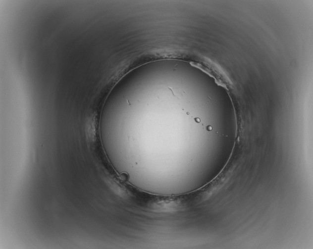 X0000116380065200912021528
