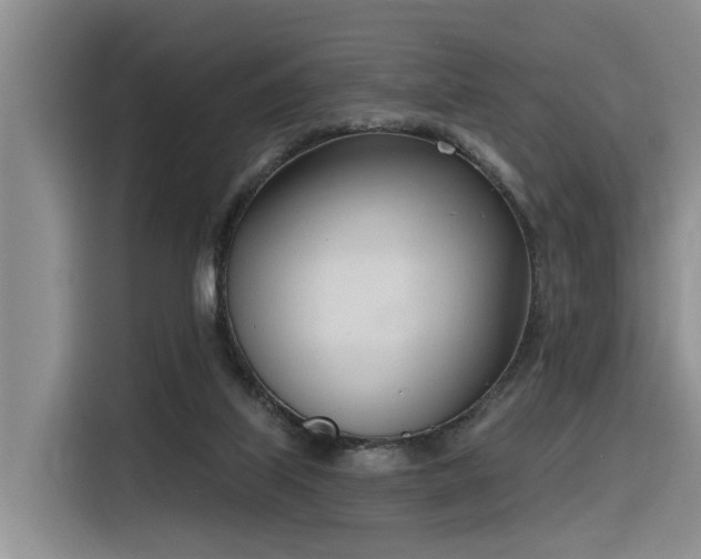 X0000116380067200912021528
