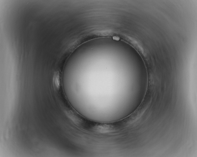 X0000116380069200912021528
