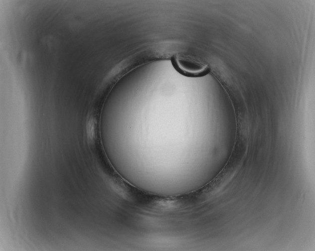 X0000116380071200912021528