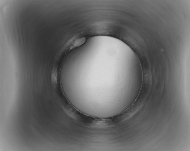 X0000116380072200912021528