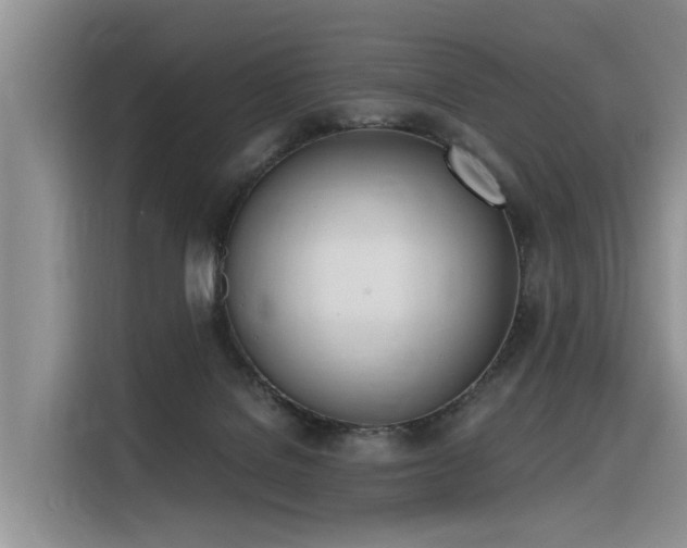 X0000116380076200912021528