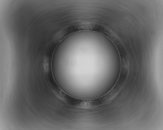 X0000116380080200912021528