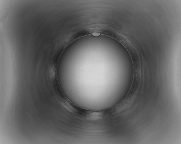 X0000116380081200912021528