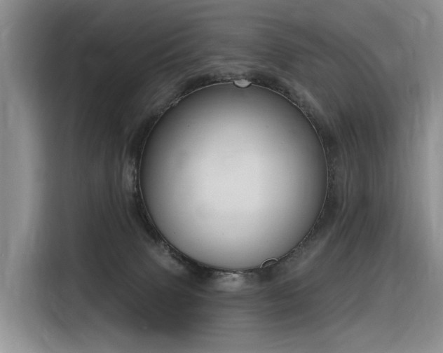 X0000116380083200912021528