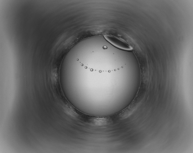 X0000116380085200912021528
