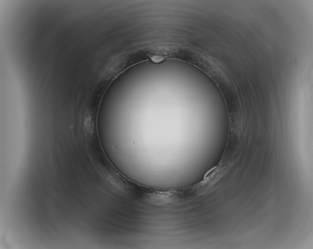 X0000116380086200912021528