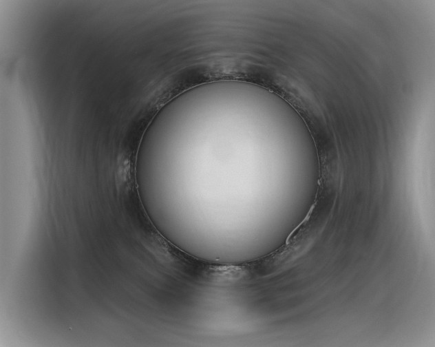 X0000116380087200912021528
