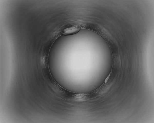 X0000116380088200912021528