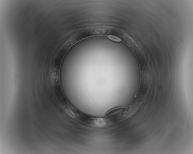 X0000116380091200912021528