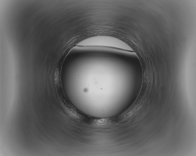 X0000116380092200912021528