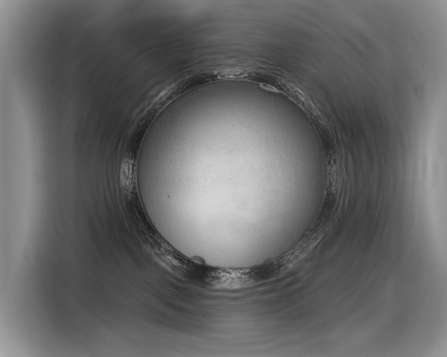 X0000116380093200912021528