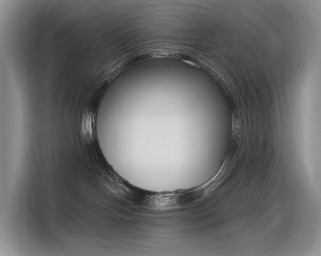 X0000116380094200912021528