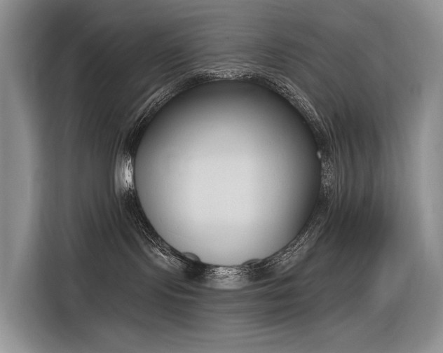 X0000116380095200912021528