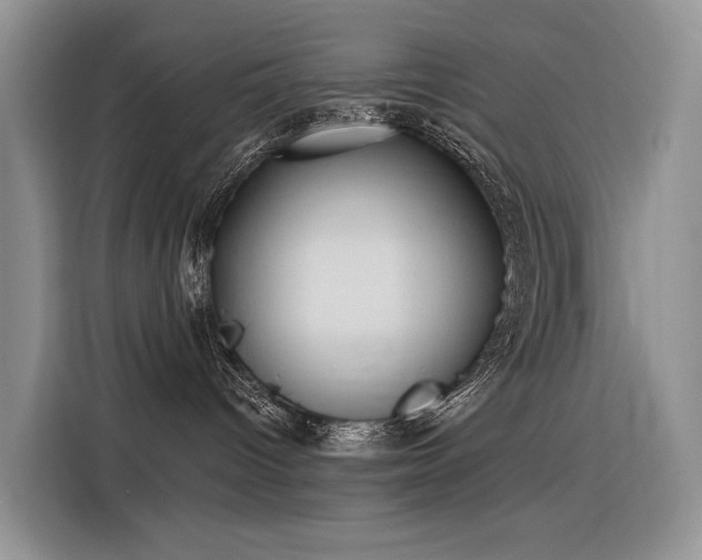 X0000116380096200912021528