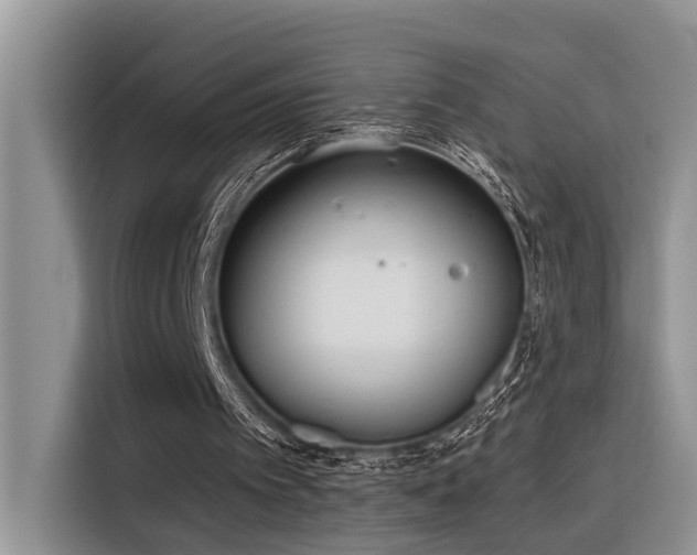 X0000116380097200912021528