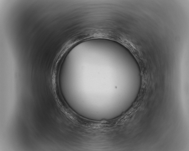 X0000116380098200912021528