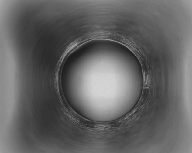 X0000116380099200912021528