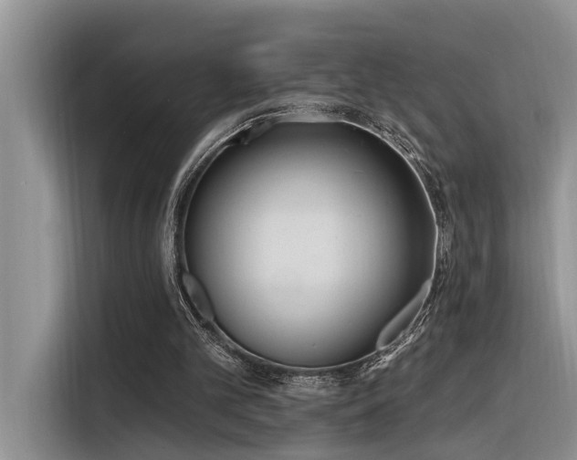 X0000116380101200912021527