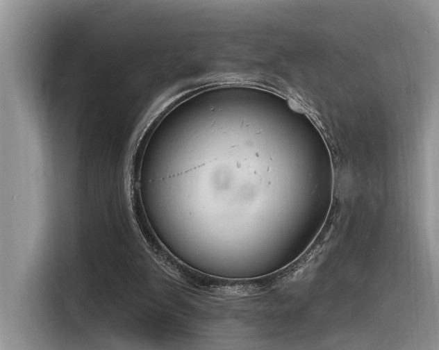X0000116380103200912021527