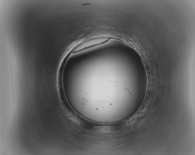 X0000116380104200912021527