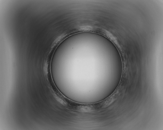 X0000116380106200912021527
