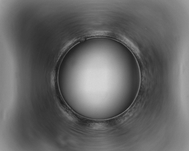 X0000116380107200912021527