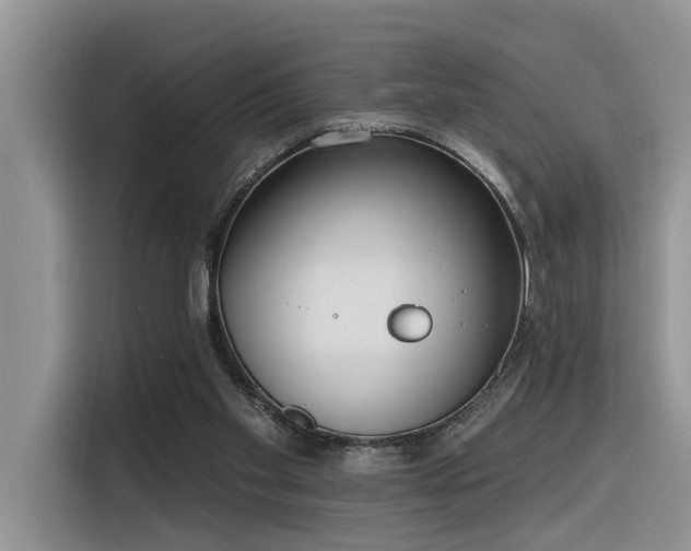 X0000116380109200912021527