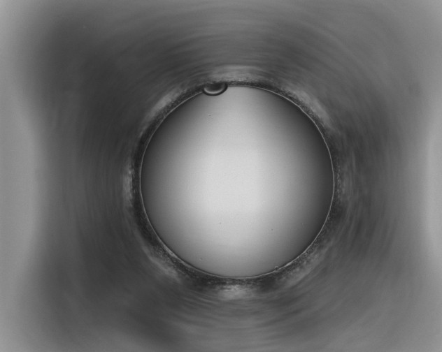X0000116380111200912021527