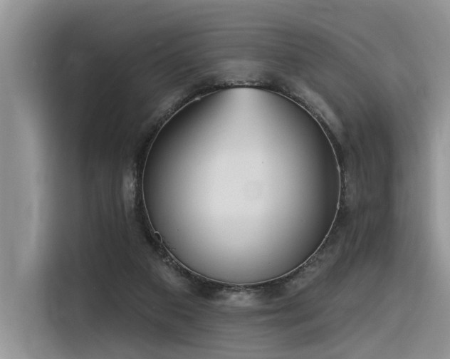 X0000116380113200912021527